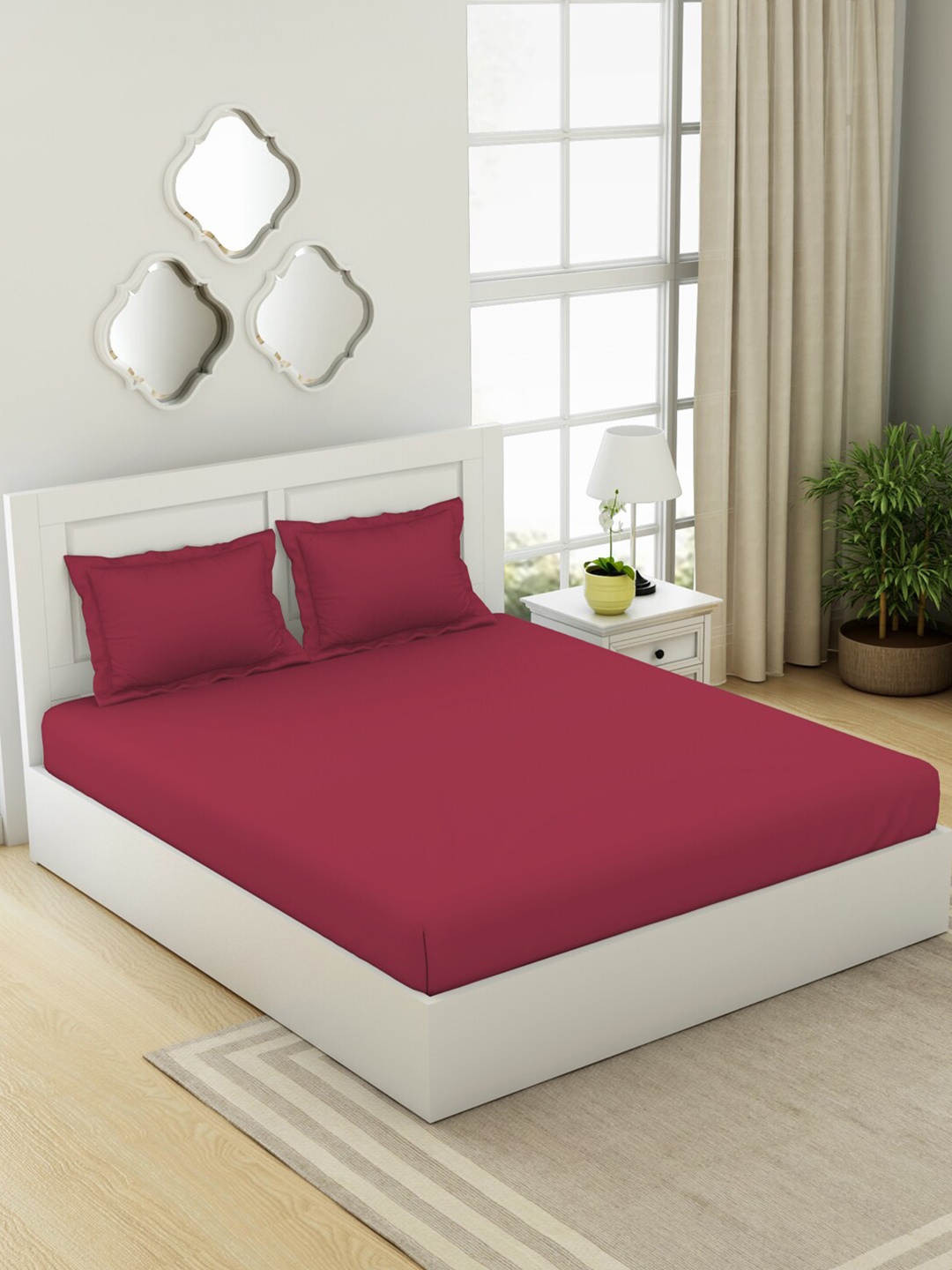 

SPACES Everyday Essentials Red Cotton 144 TC Fitted Queen Bedsheet with 2 Pillow Covers
