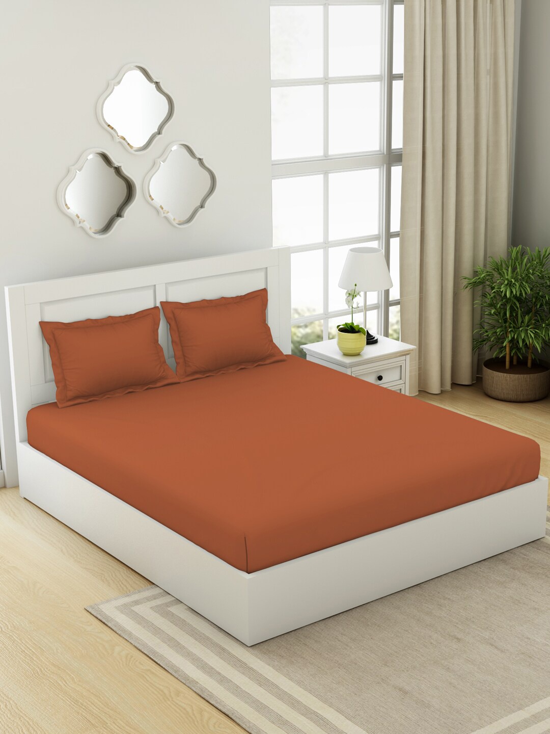 

SPACES Everyday Essentials Rust Fitted Cotton 144 TC Queen Bedsheet with 2 Pillow Covers