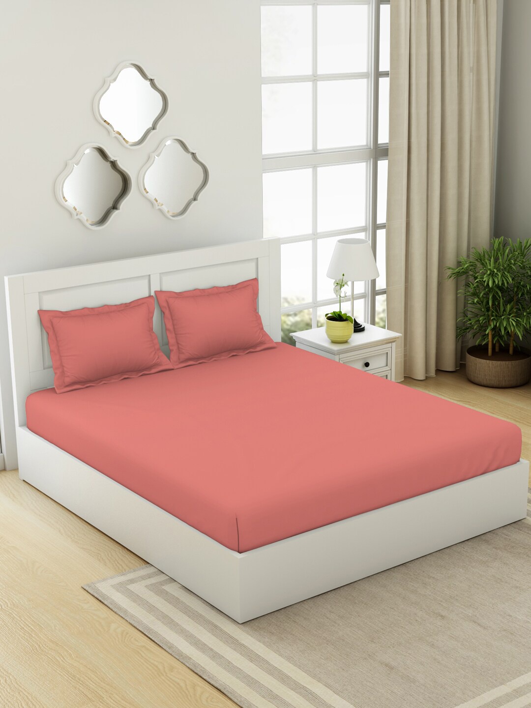 

SPACES Everyday Essentials Coral Pure Cotton 144 TC Queen Bedsheet With 2 Pillow Covers