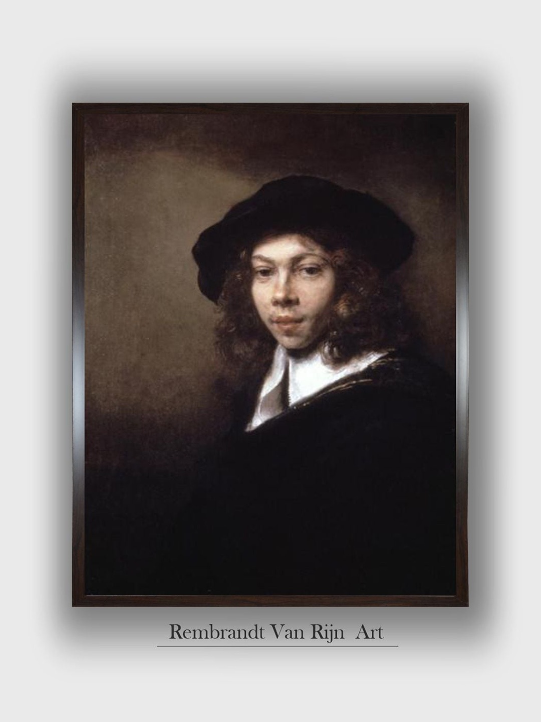 

The Art House Youth in a Black Cap, 1666 Canvas Wall Painting