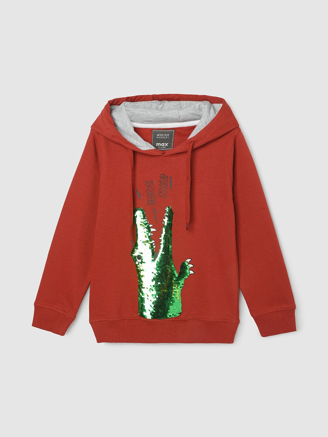 

max Boys Embellished Hooded Pure Cotton Pullover, Rust