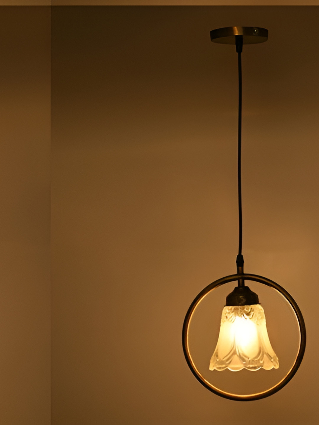 

Afast Transparent Printed Bell Shaped Hanging Ceiling Lamp