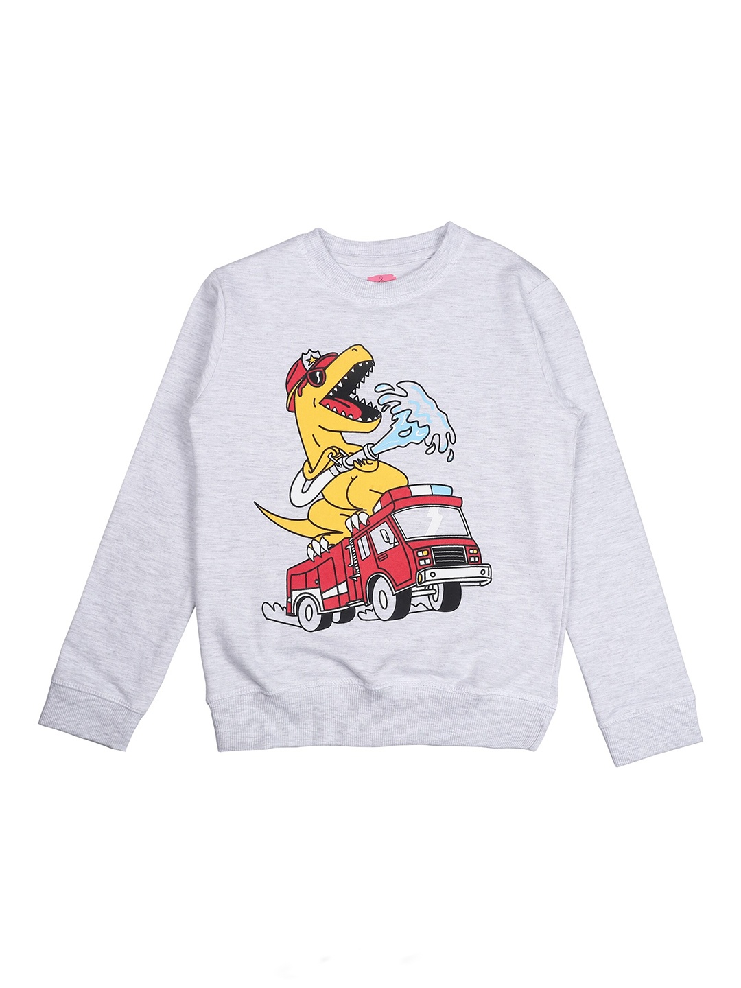 

BAESD Boys Graphic Printed Pure Cotton Pullover Sweatshirt, Grey