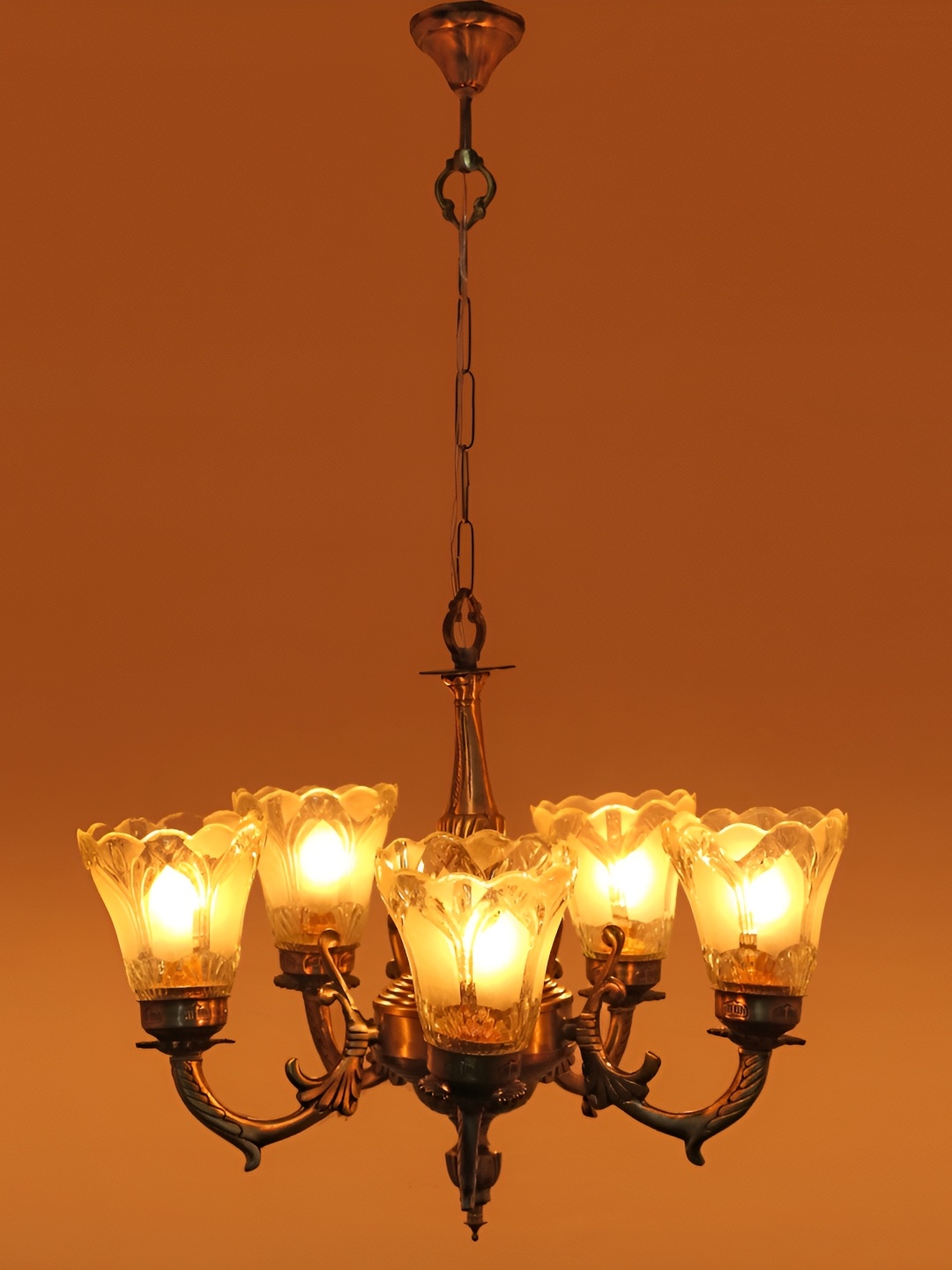 

Afast Transparent & Brown Textured Abstract Shaped Glass Ceiling Lamp