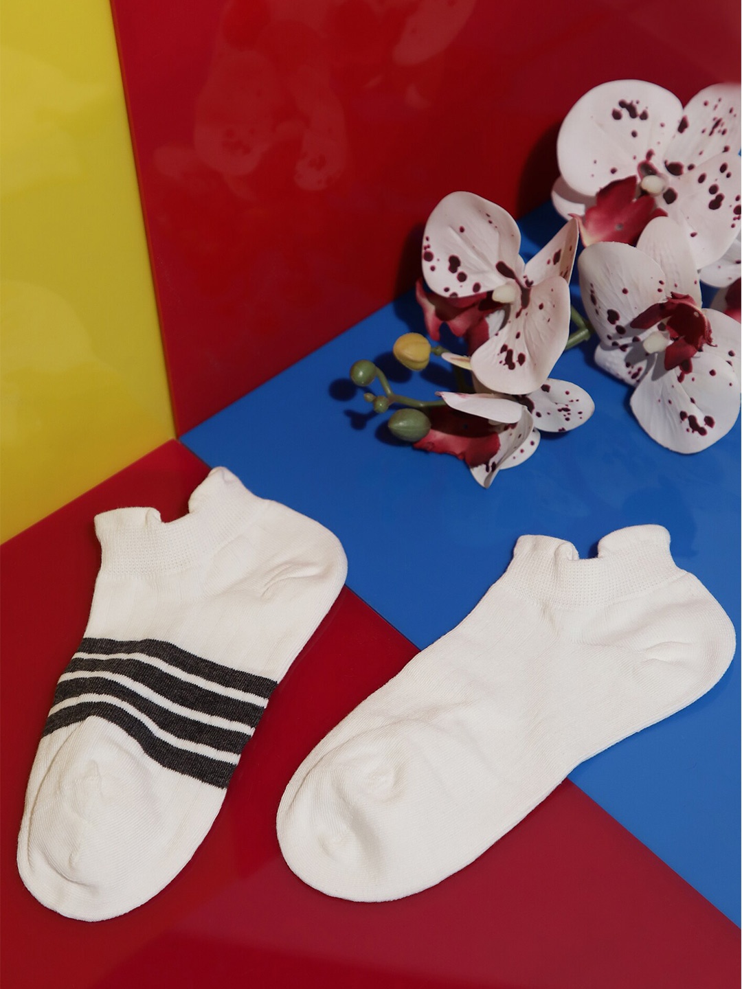

LULU & SKY Women Striped Ankle-Length Socks, White