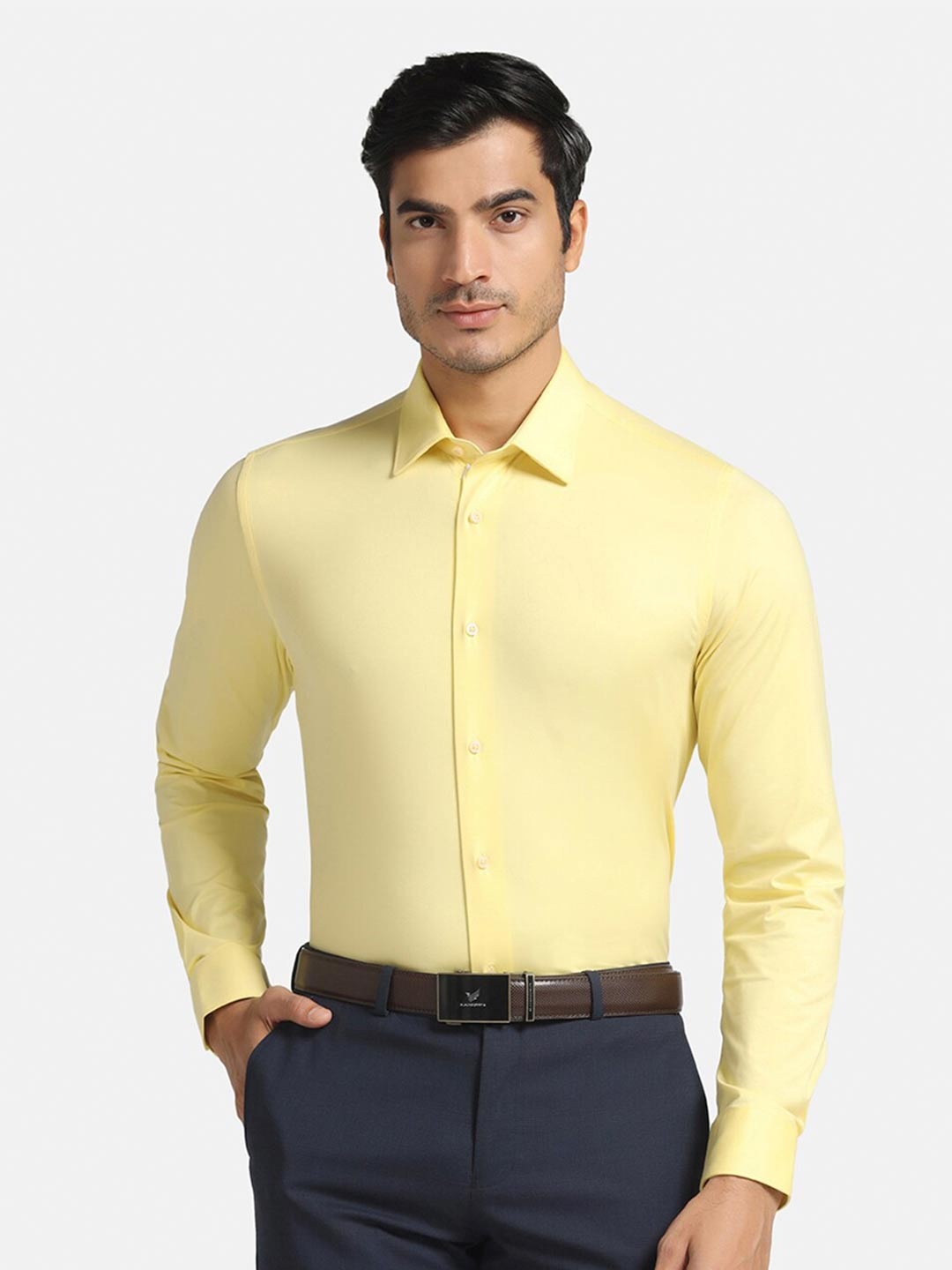 

Blackberrys India Slim Fit Long Sleeves Cotton Formal Shirt, Yellow