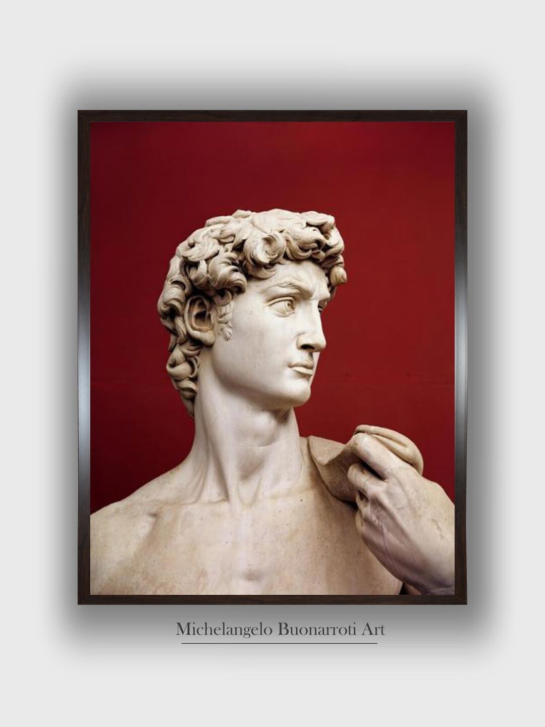 

The Art House Red & Brown David, 1501-04 Wooden Framed Canvas Painting Wall Art