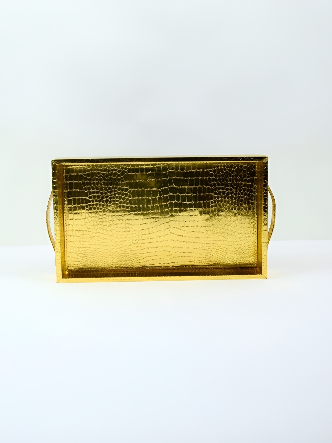 

CasaGold Gold Toned Small Leather Tray with Handle