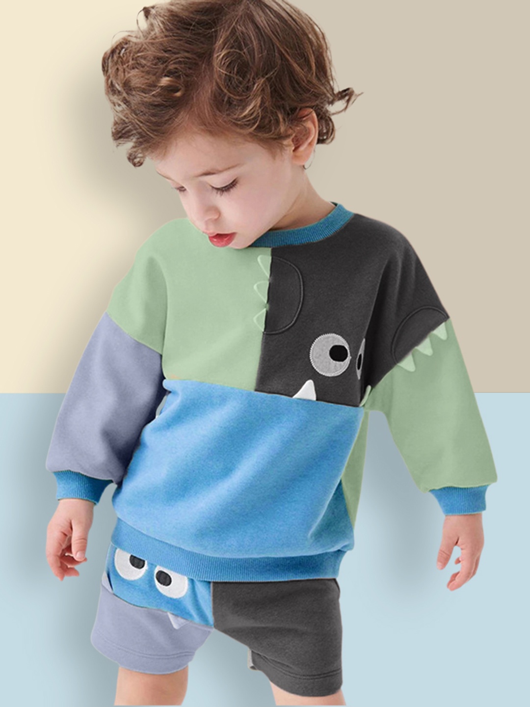 

INCLUD Boys Multicoloured Colourblocked Sweatshirt, Multi