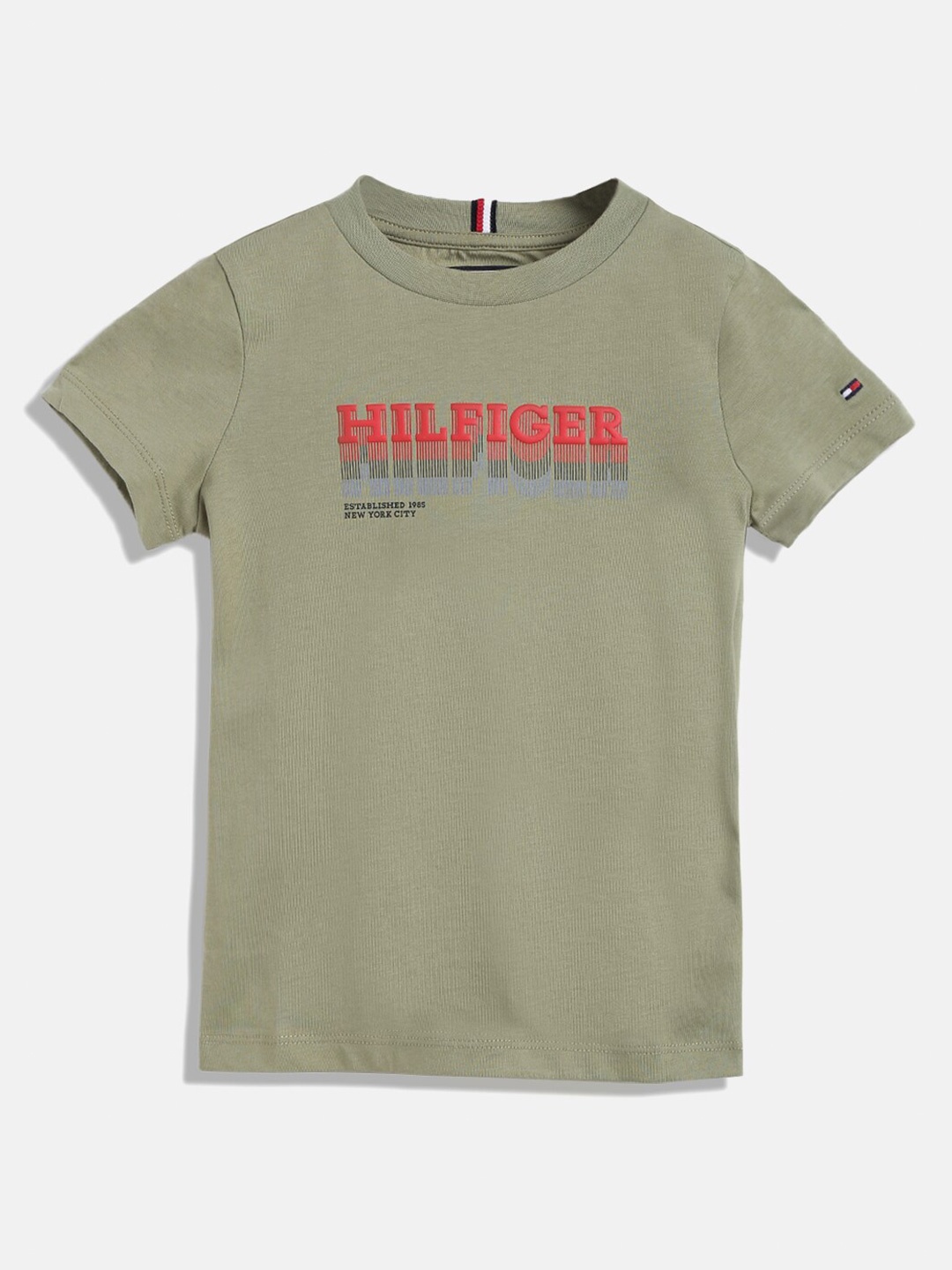 

Tommy Hilfiger Boys Typography Printed Pure Cotton T-shirt, Olive