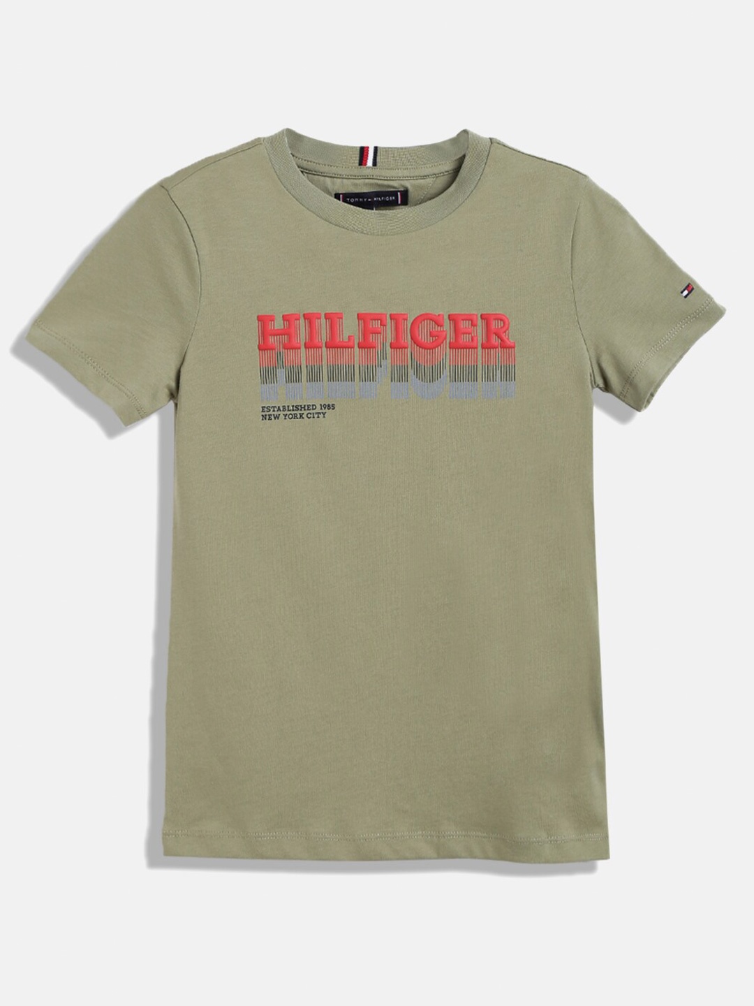 

Tommy Hilfiger Boys Typography Printed Pure Cotton T-shirt, Olive