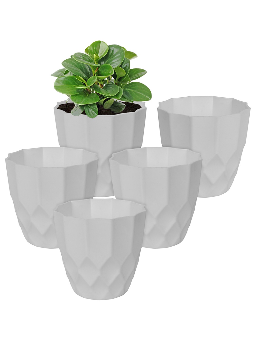 

Kuber Industries White 5 Pcs Flower Planters