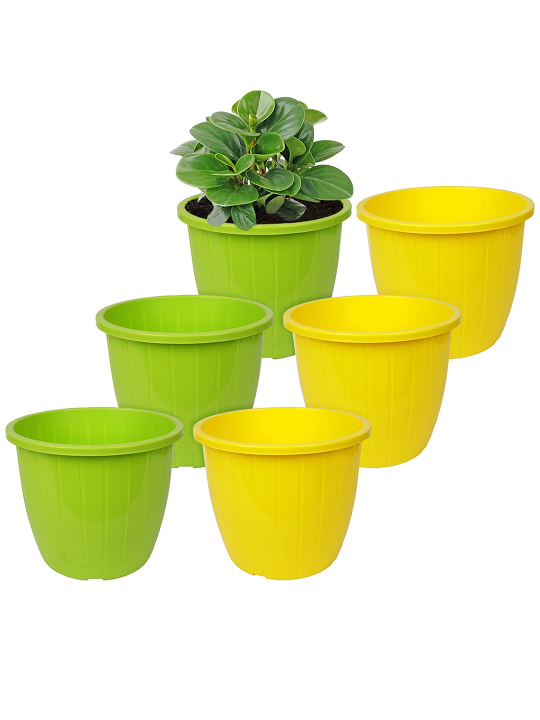 

Kuber Industries Green Textured Planter
