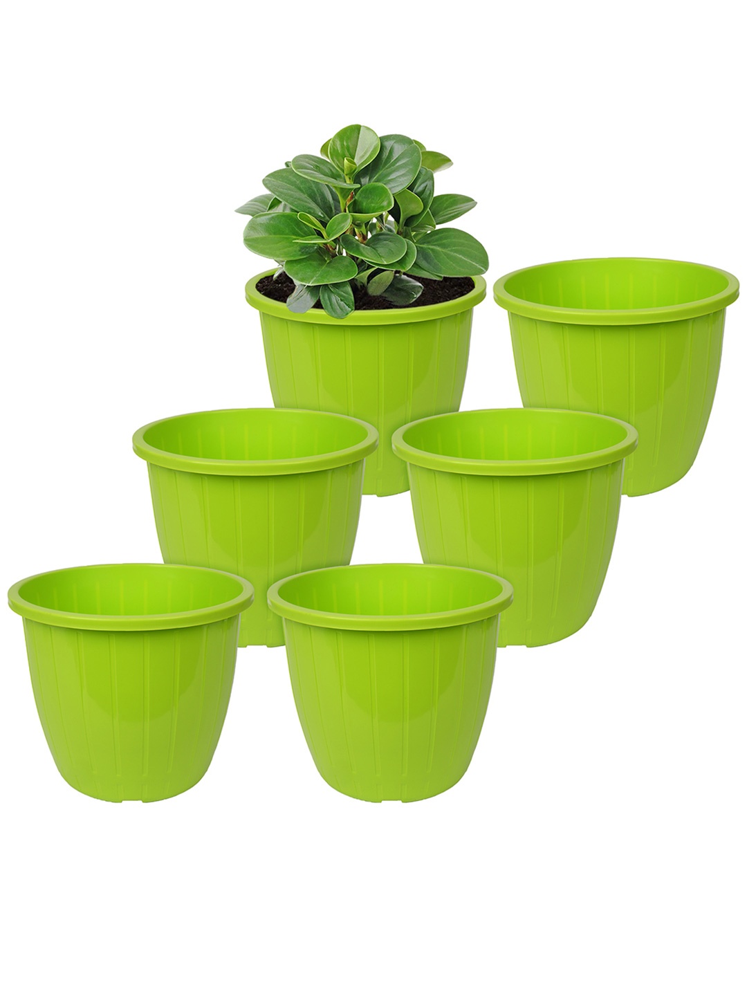 

Kuber Industries Green Textured Planter