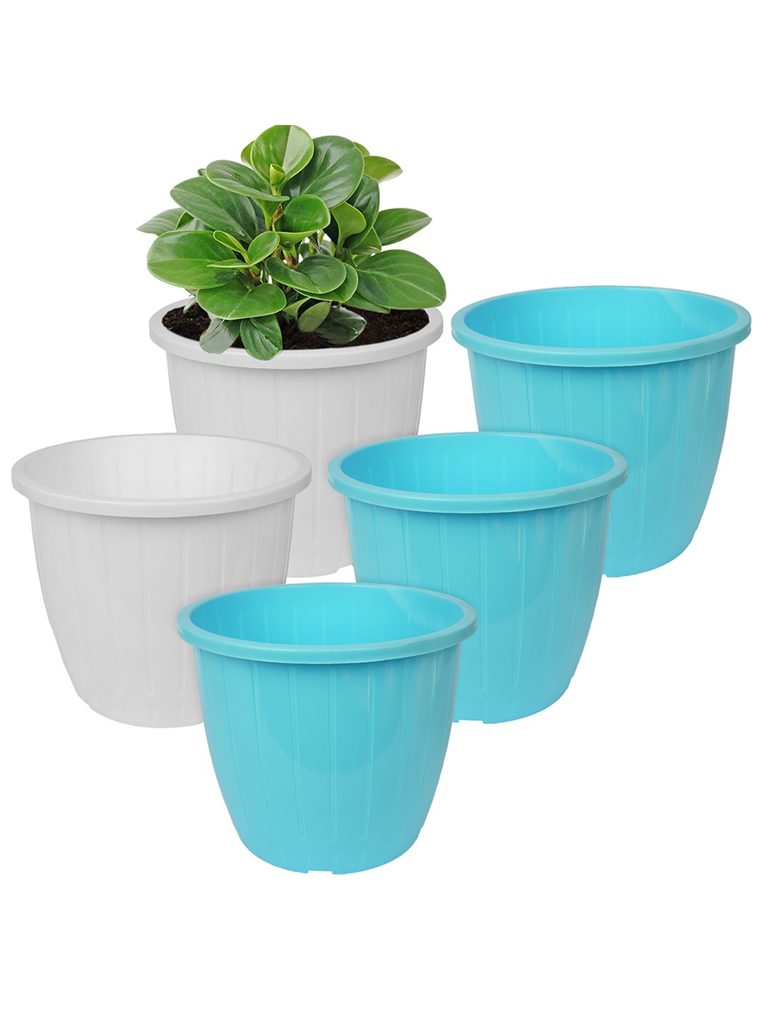 

Kuber Industries White & Blue 5 Pcs Flower Planters