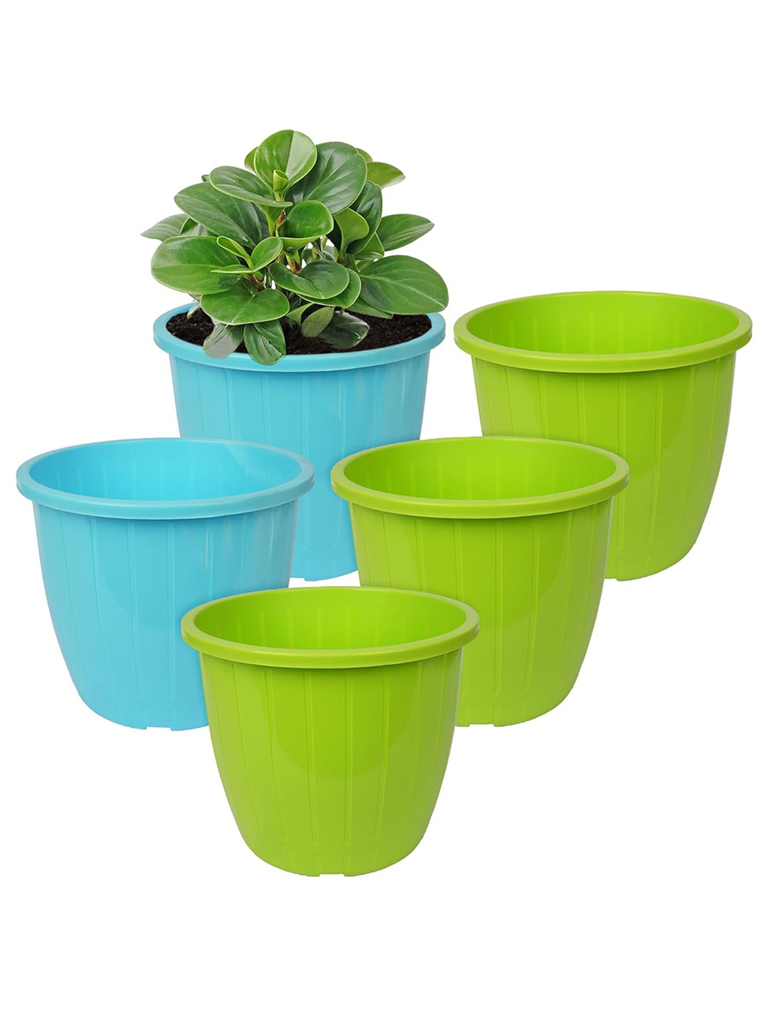 

Kuber Industries Green 5 Pcs Textured Flower Pot