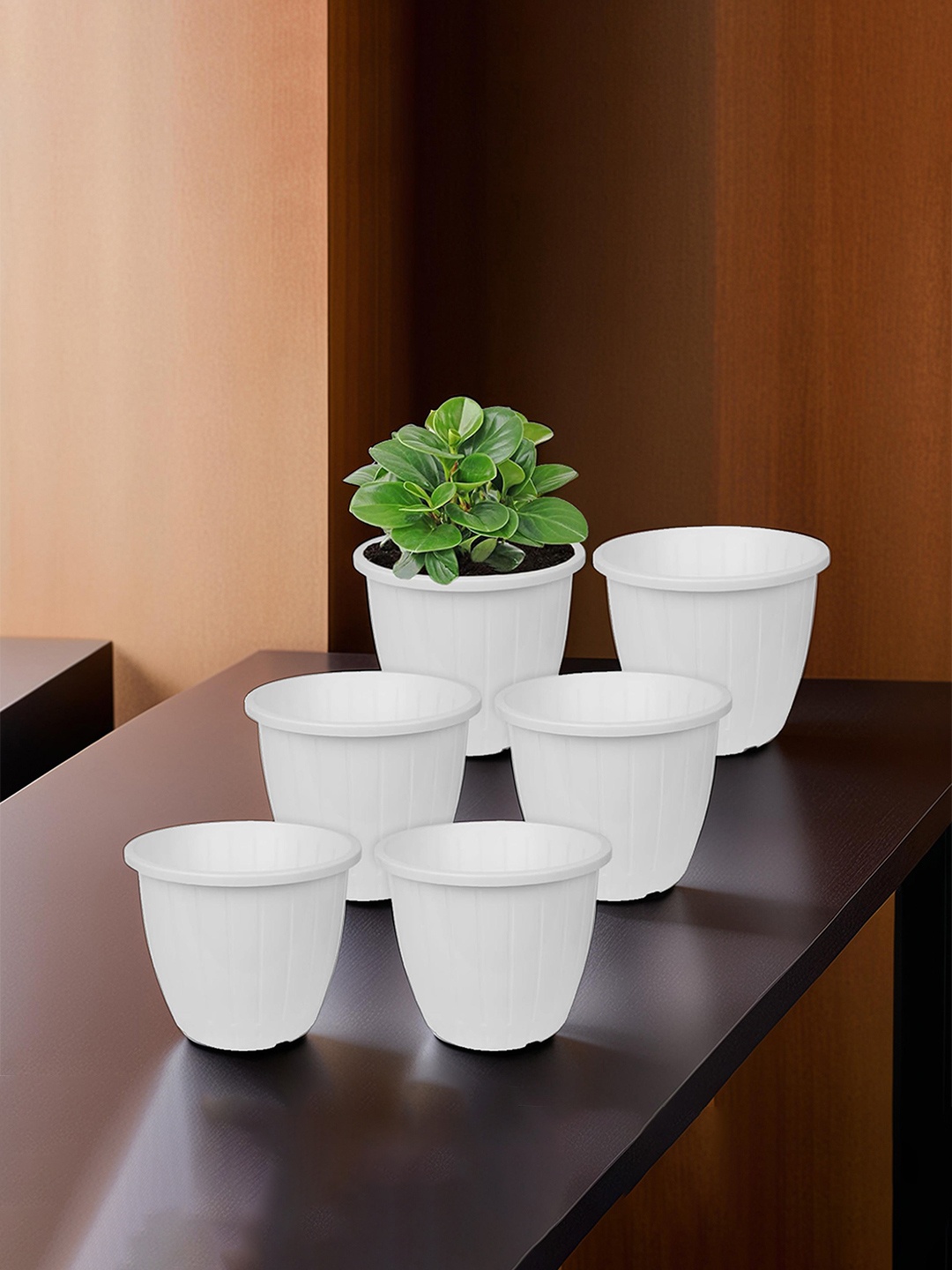 

Kuber Industries Set Of 6 White Solid Flower Pot