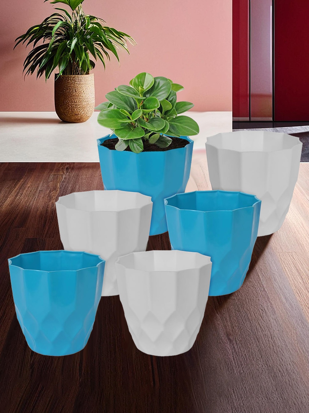 

Kuber Industries Blue 6 Pcs Flower Pot Planters