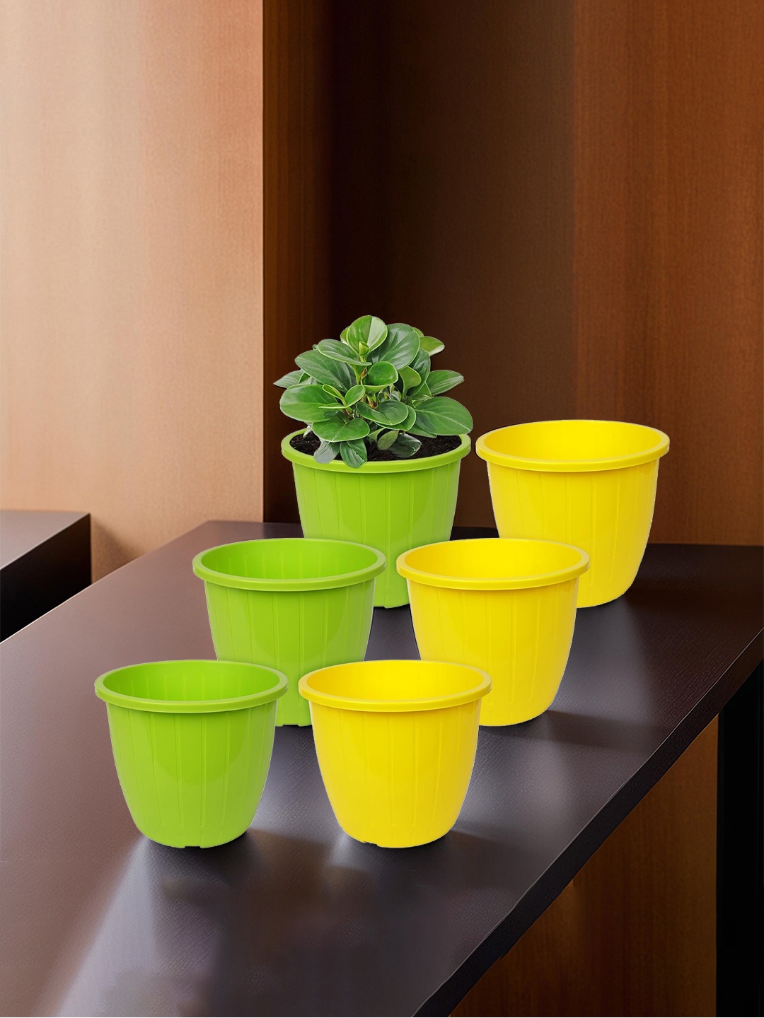 

Kuber Industries Set Of 6 Green & Yellow Solid Flower Pot