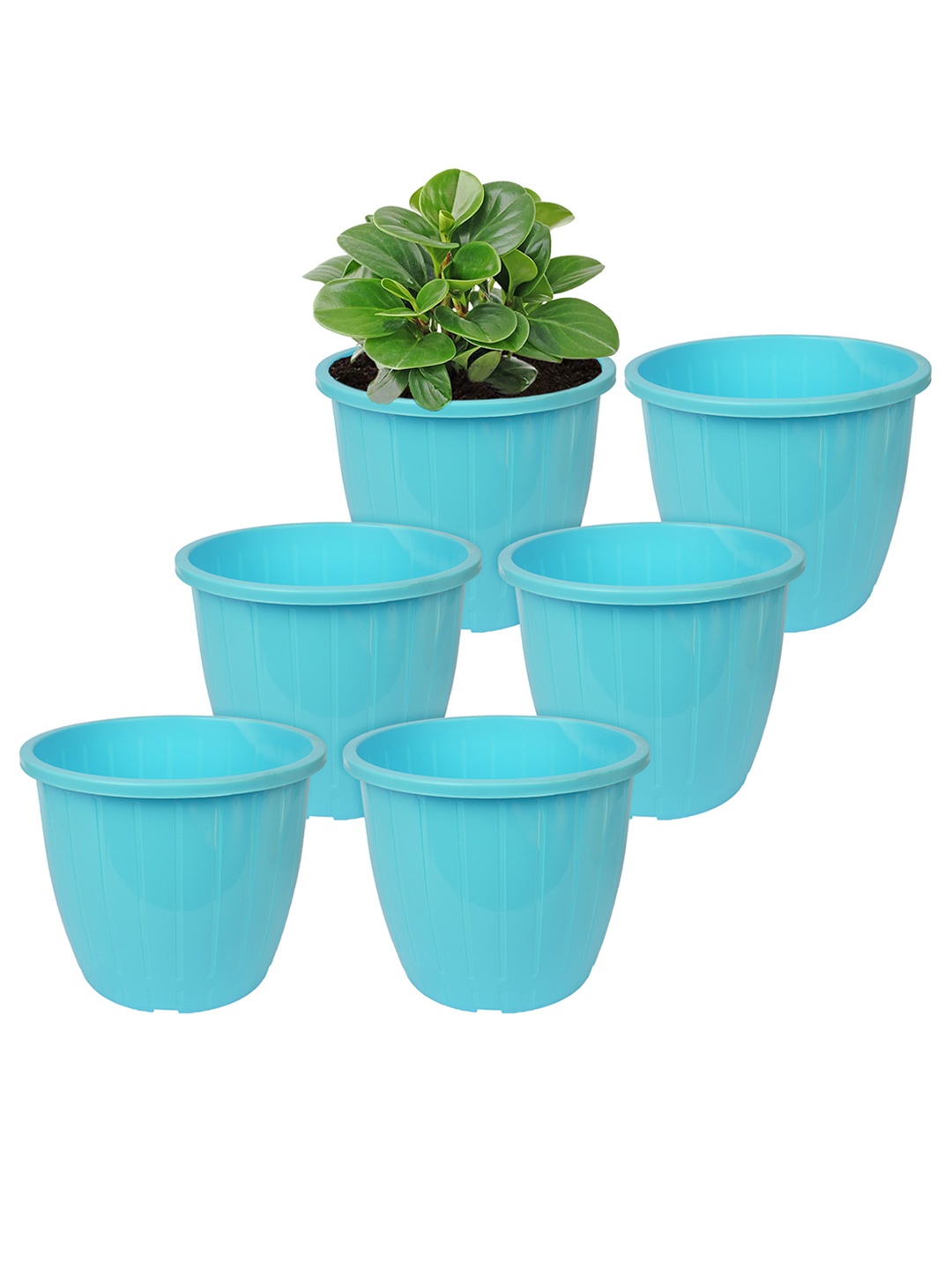 

Kuber Industries Blue 6 Pcs Solid Flower Planters