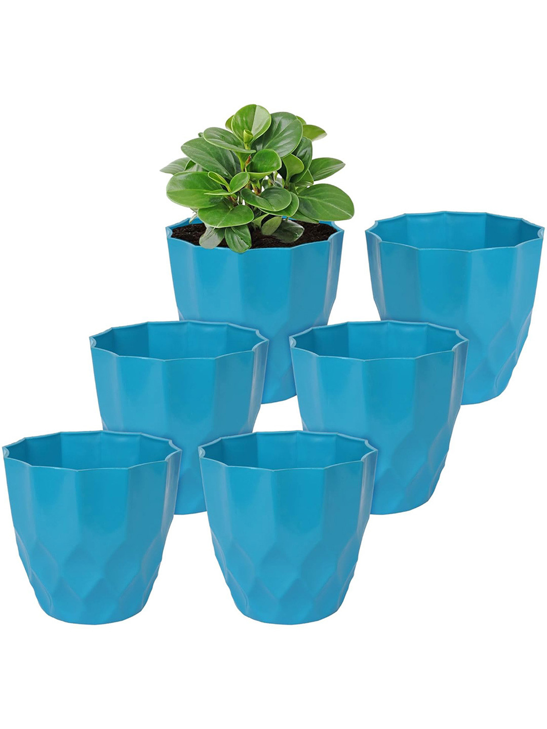 

Kuber Industries Blue 6 Pcs Non-Hanging Artificial Flower Pots