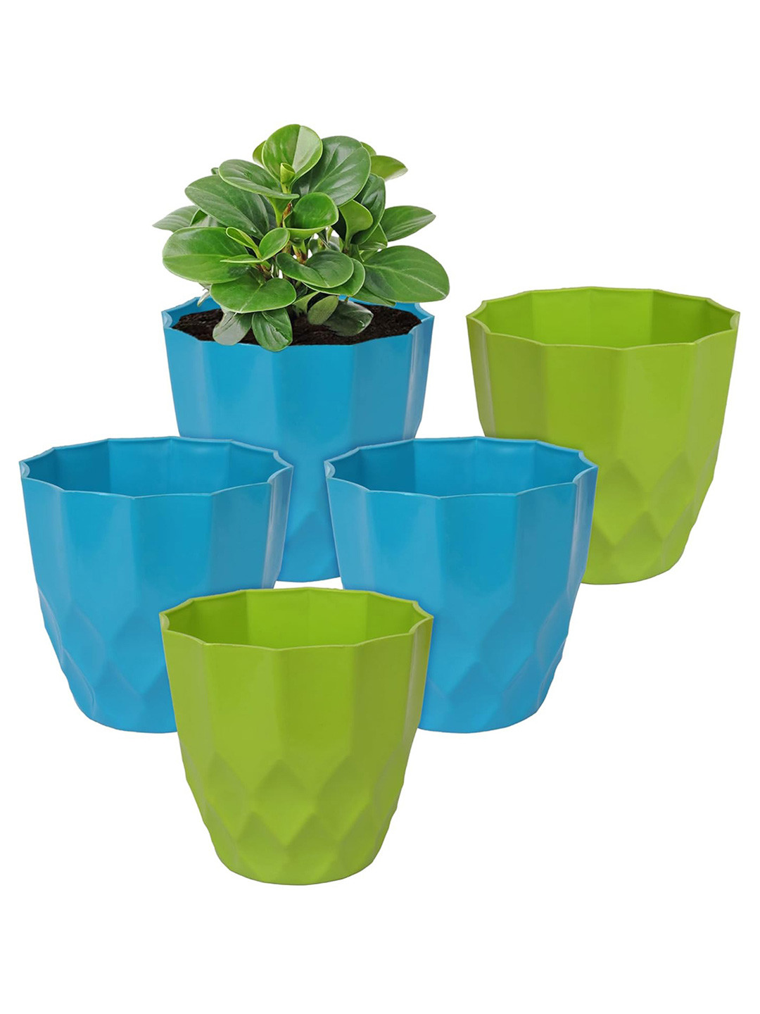 

Kuber Industries Green 5 Pcs Textured Flower Pot, Blue