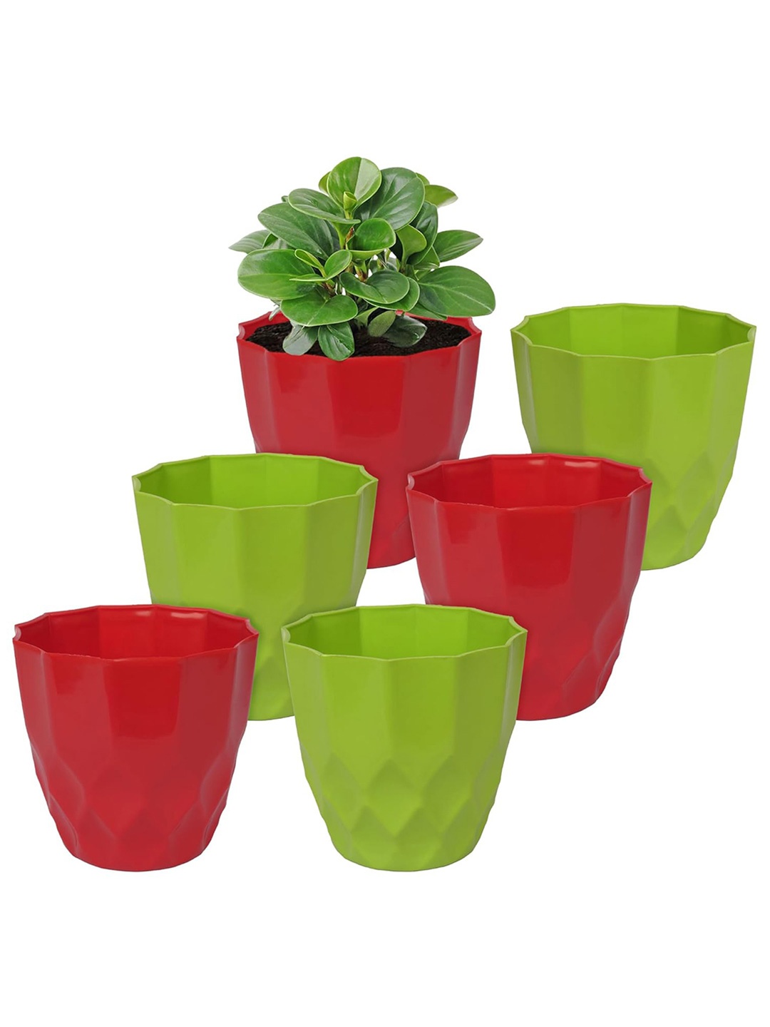 

Kuber Industries Green 6 Pcs Textured Flower Pot