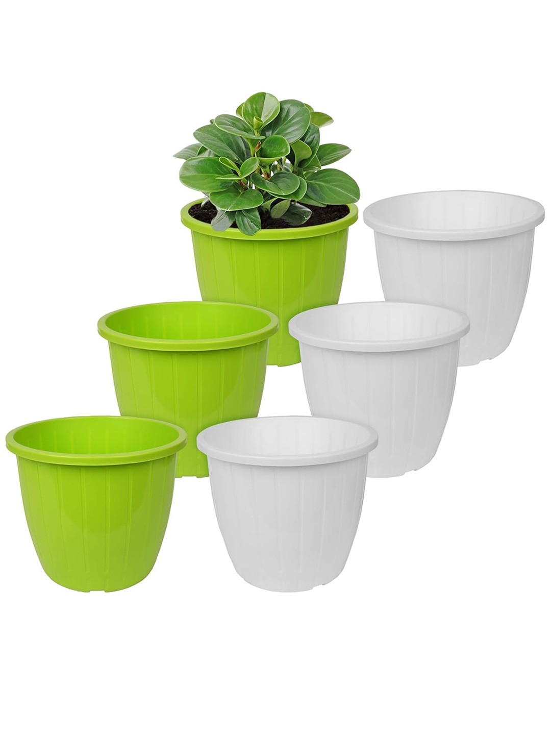 

Kuber Industries Green 6 Pcs Textured Flower Pot