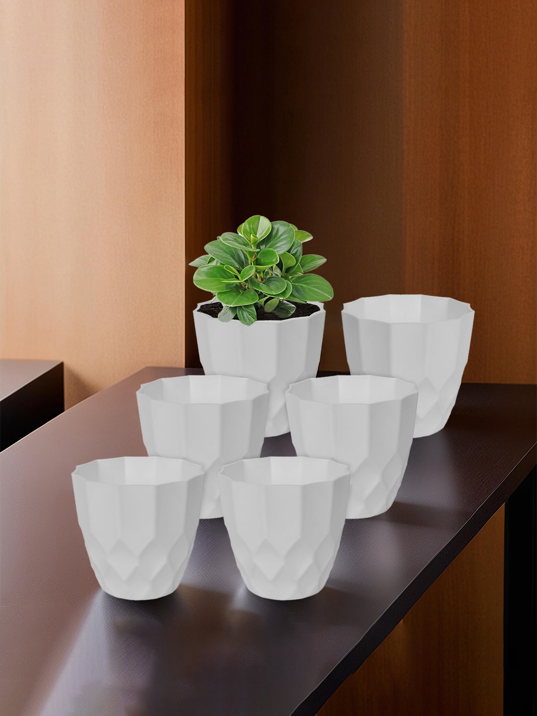 

Kuber Industries Pack of 6 Flower Planter Pots for Garden & Balcony, White