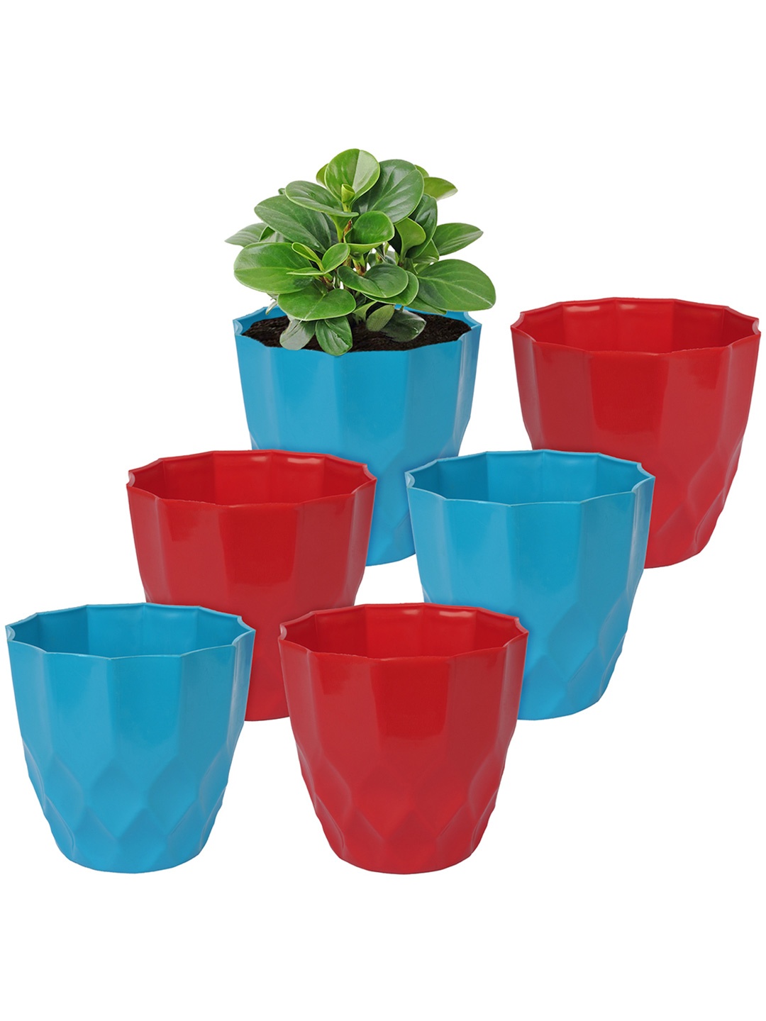 

Kuber Industries Set of 6 Turquoise-Blue Textured Planters