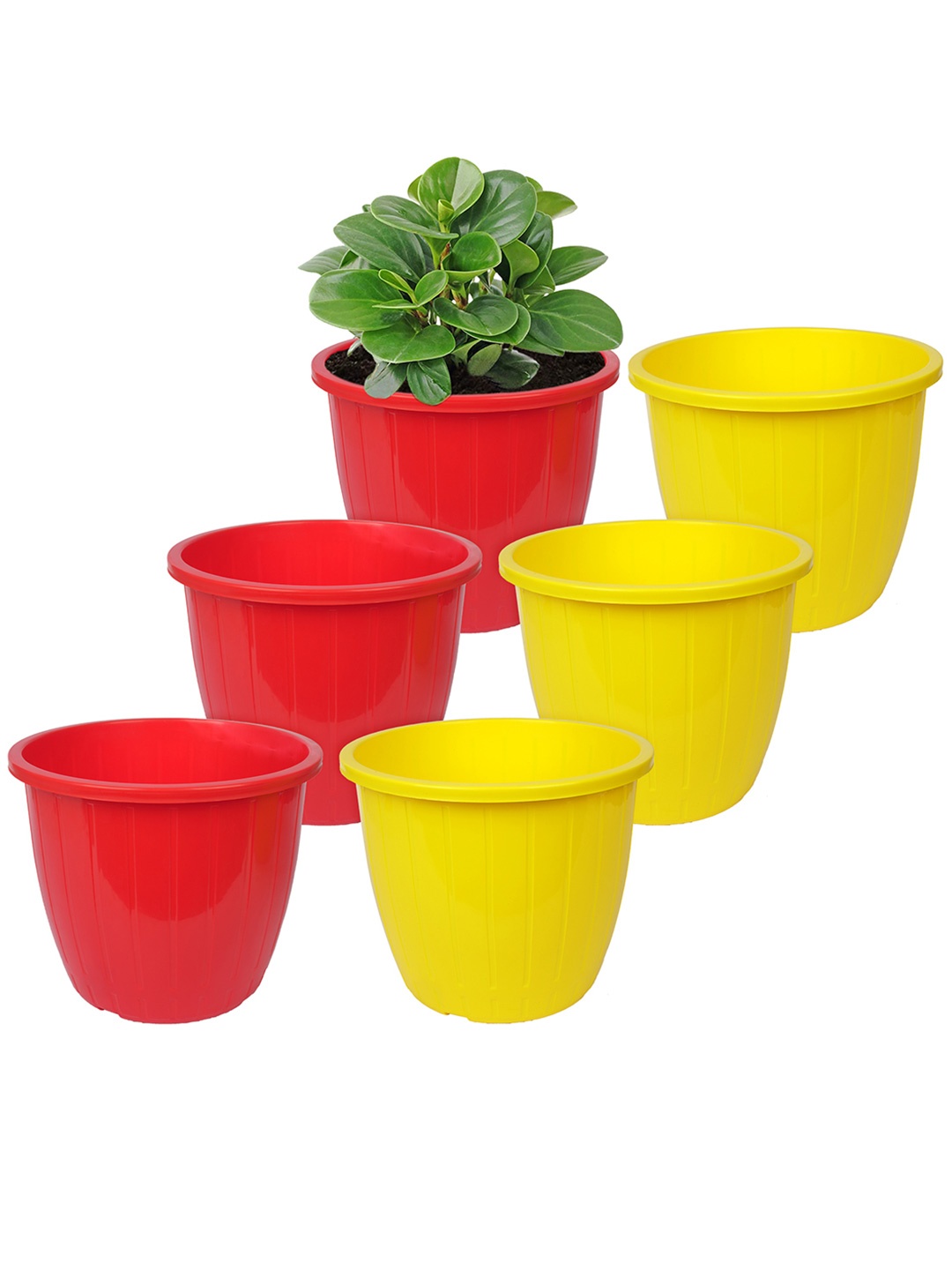 

Kuber Industries Set of 6 Red Textured Planters