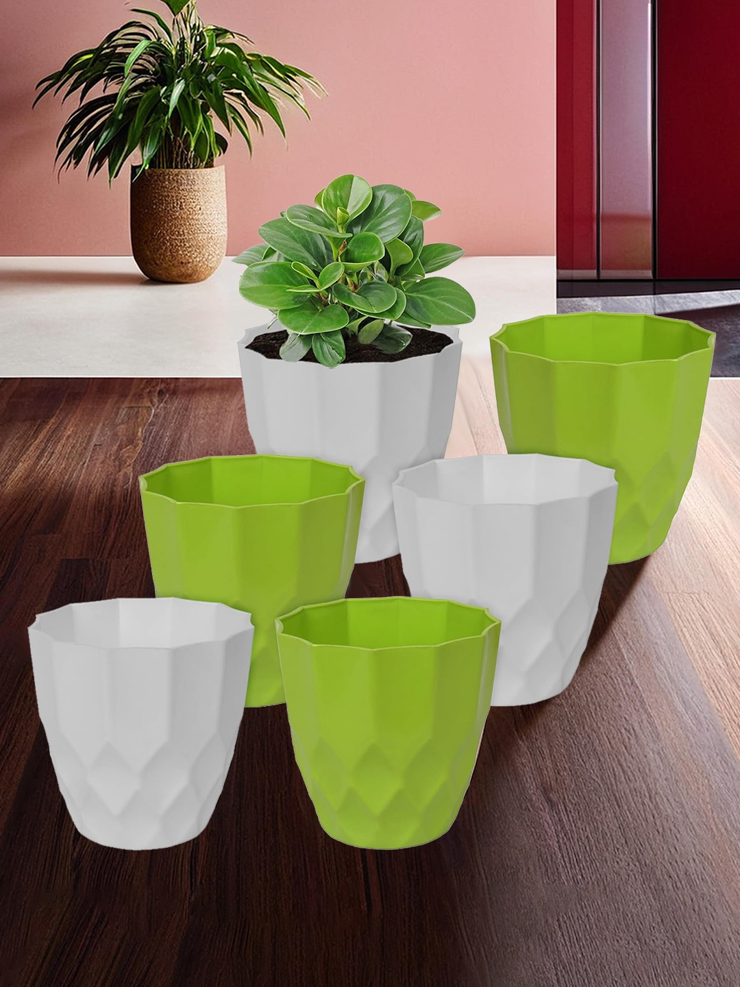 

Kuber Industries Pack of 6 Flower Planter Pots for Garden & Balcony, Multi