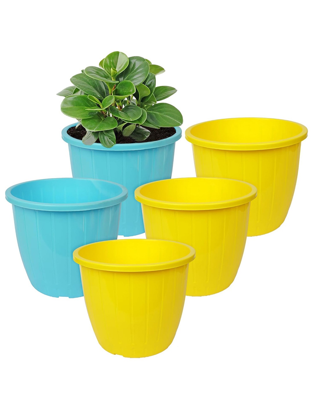 

Kuber Industries Yellow 5 Pcs Textured Flower Pot