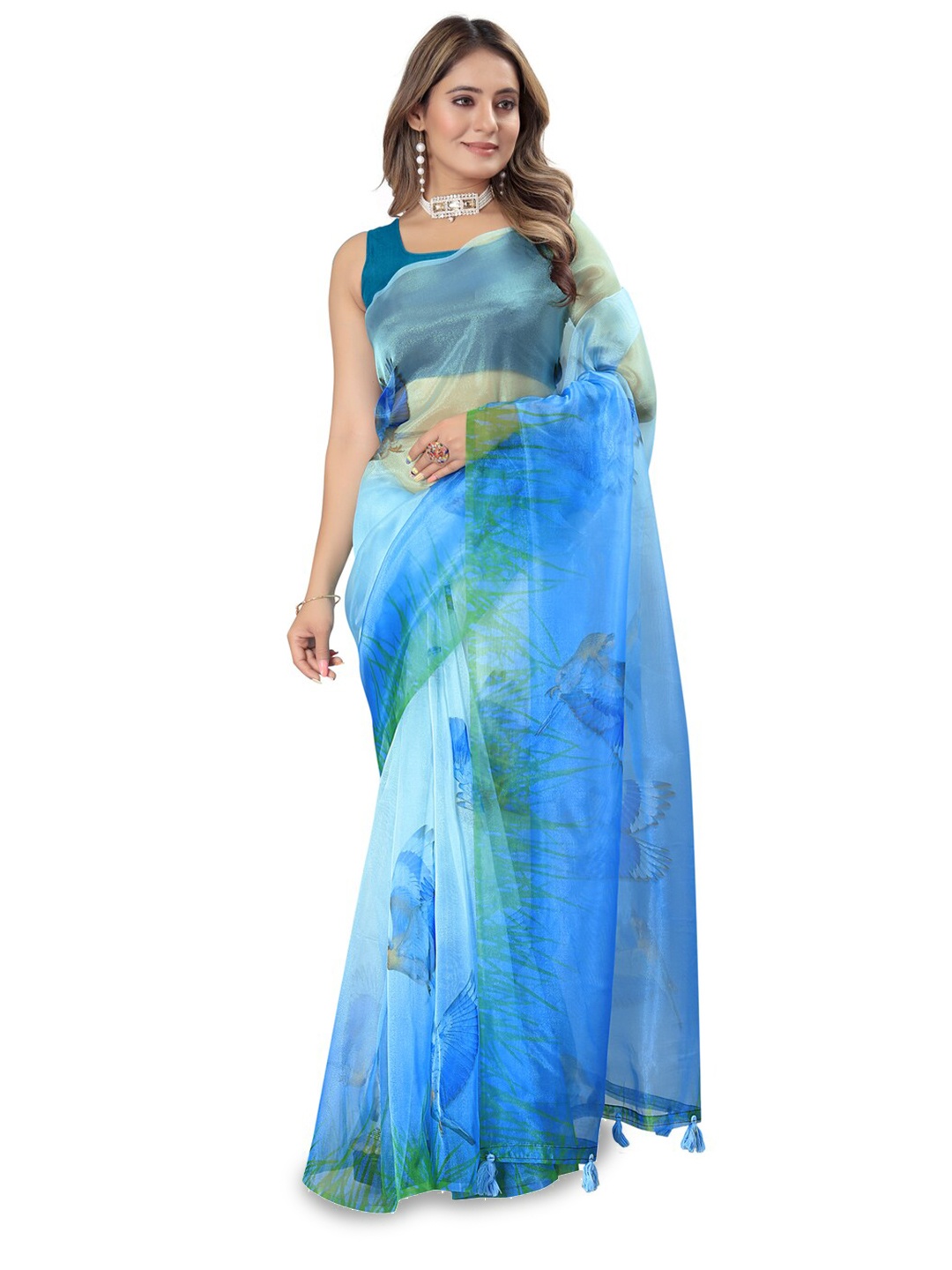 

Inithi Floral Printed Organza Saree, Blue