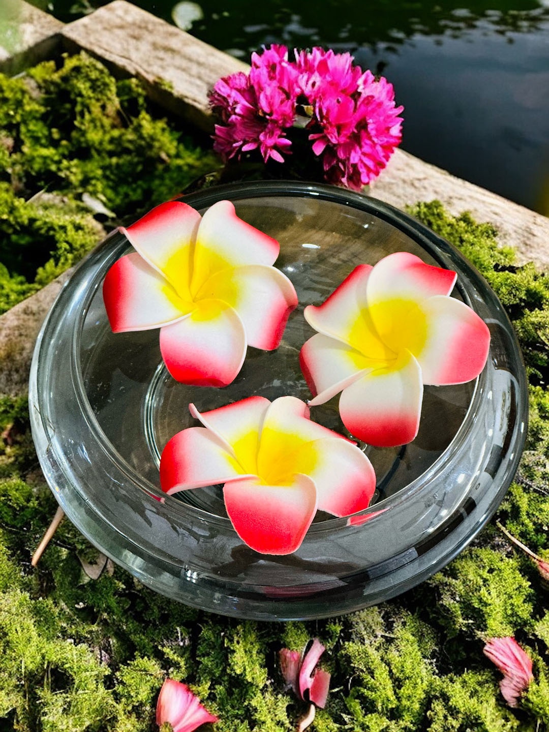 

BS AMOR Transparent & Red Glass Flower Vase with 3 Flowers
