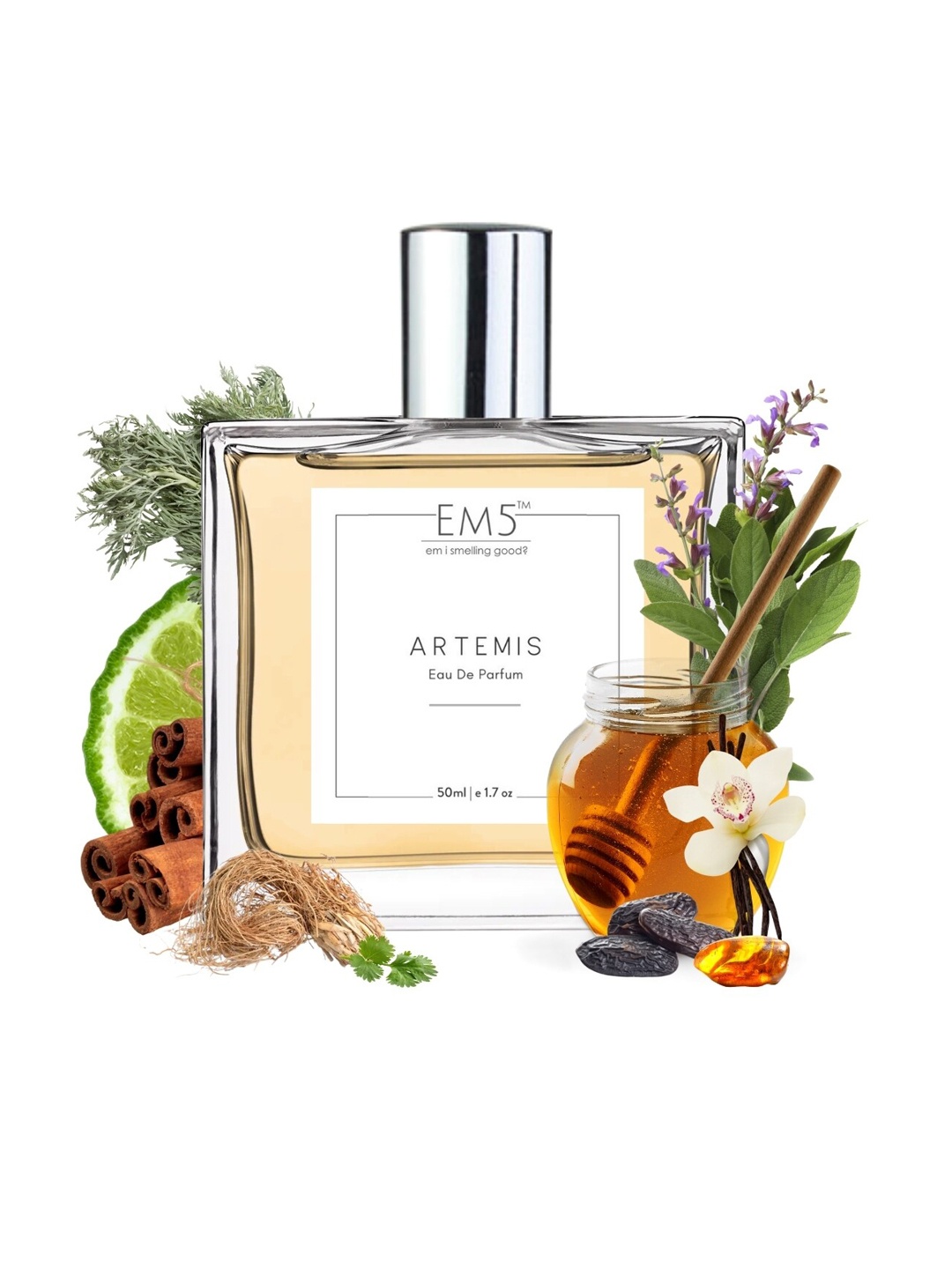 

EM5 Men Artemis Long Lasting Eau De Parfum - 50 ml, Transparent