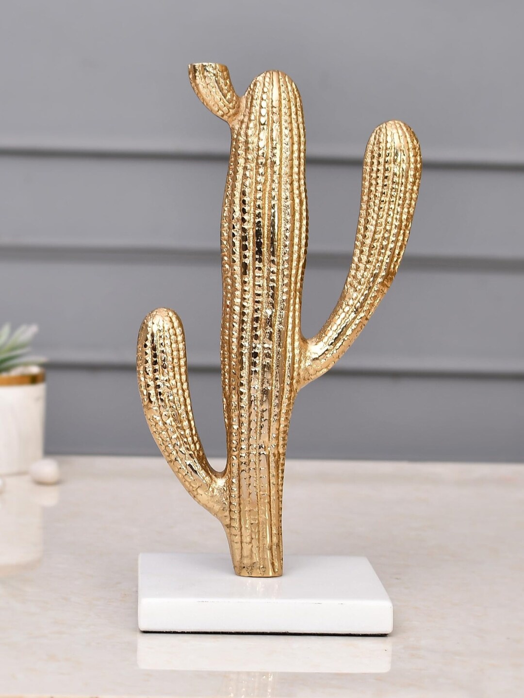 

CraftVatika Bronze Small Metal Cactus Decorative Showpiece, White