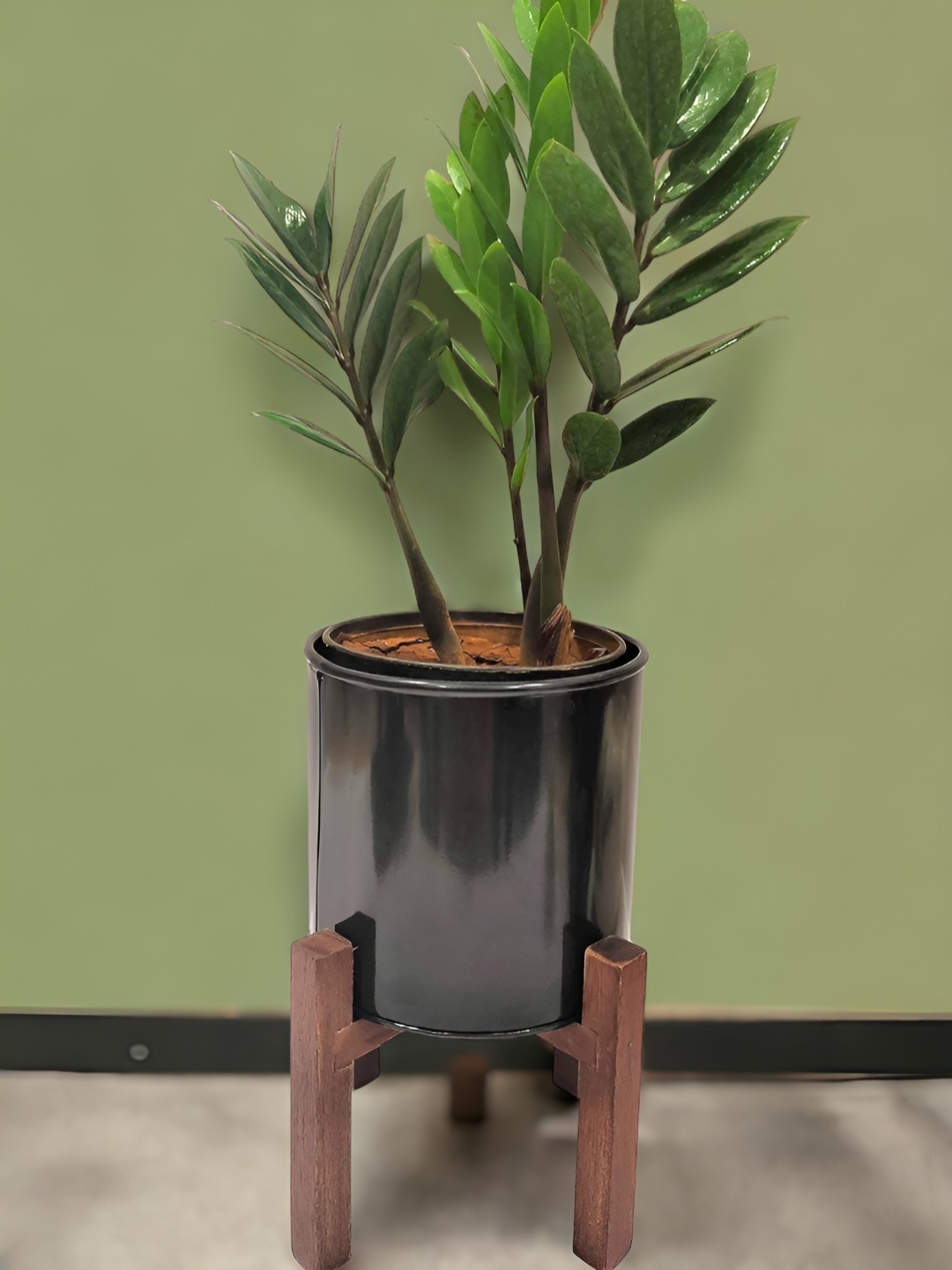 

The Artage white Black Flower Planter