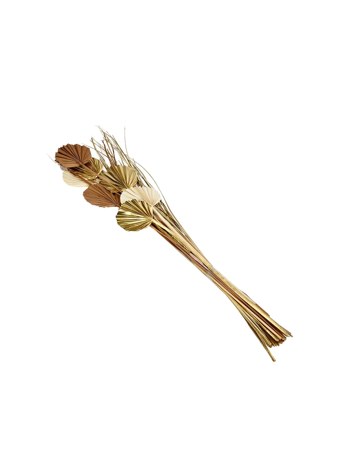 

Athome by Nilkamal Gold Toned & Beige Artificial Decorative Palm Leaf Wicker Dry Stick