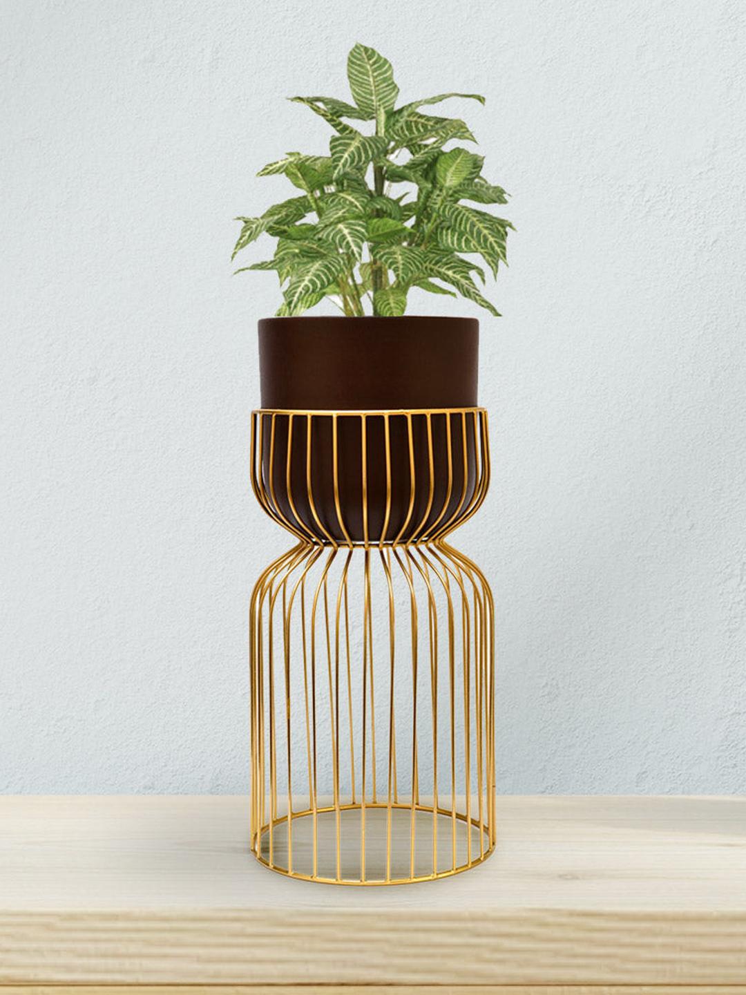 

Athome by Nilkamal Brown Metal Planter With Stand