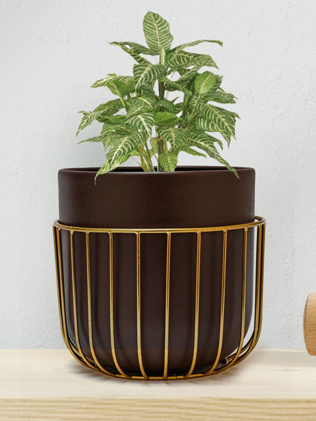 

Athome by Nilkamal Unisex Brown & Yellow Metal Jali Planter