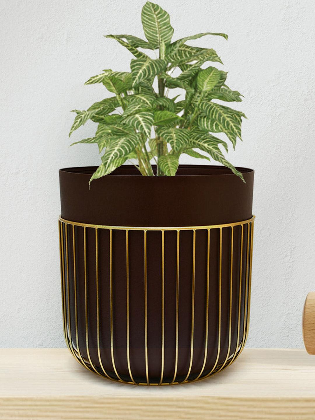 

Athome by Nilkamal Beige & Brown Metal Planter With Jali Stand
