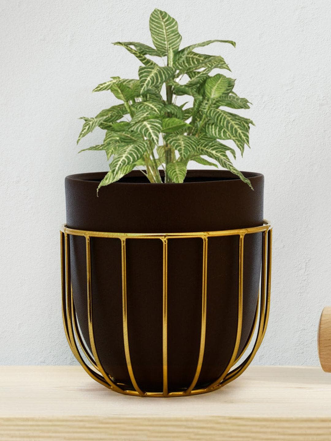 

Athome by Nilkamal Beige & Brown Metal Planter With Jali Stand