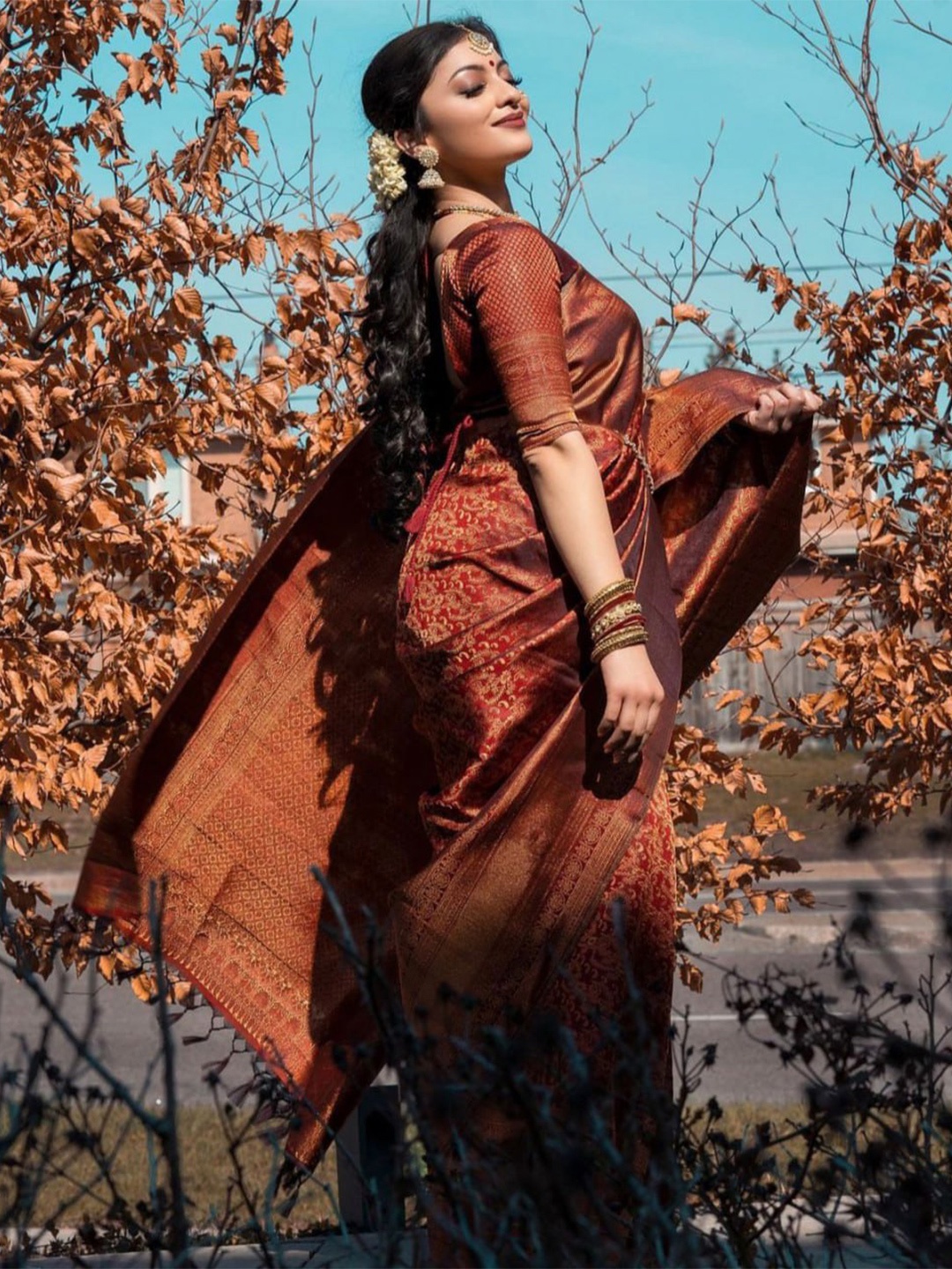 

Visit Wear Ethnic Motifs Woven Design Zari Kanjeevaram Saree, Brown