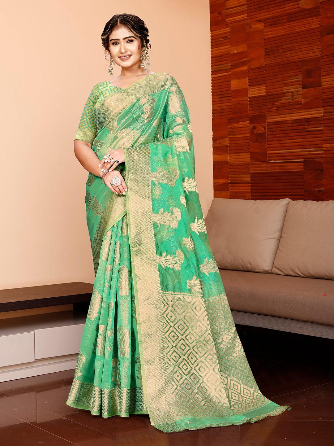 

MAGMINA Floral Zari Organza Banarasi Saree, Green