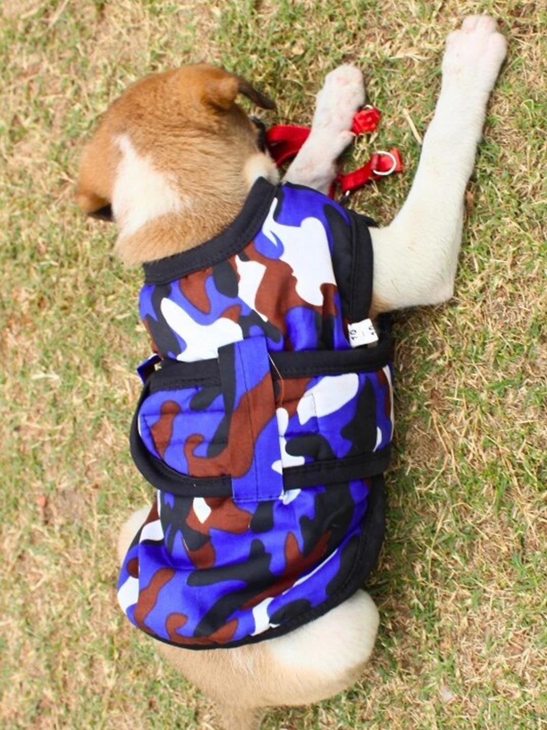 

Lulala Blue Abstract Printed Dog Jacket