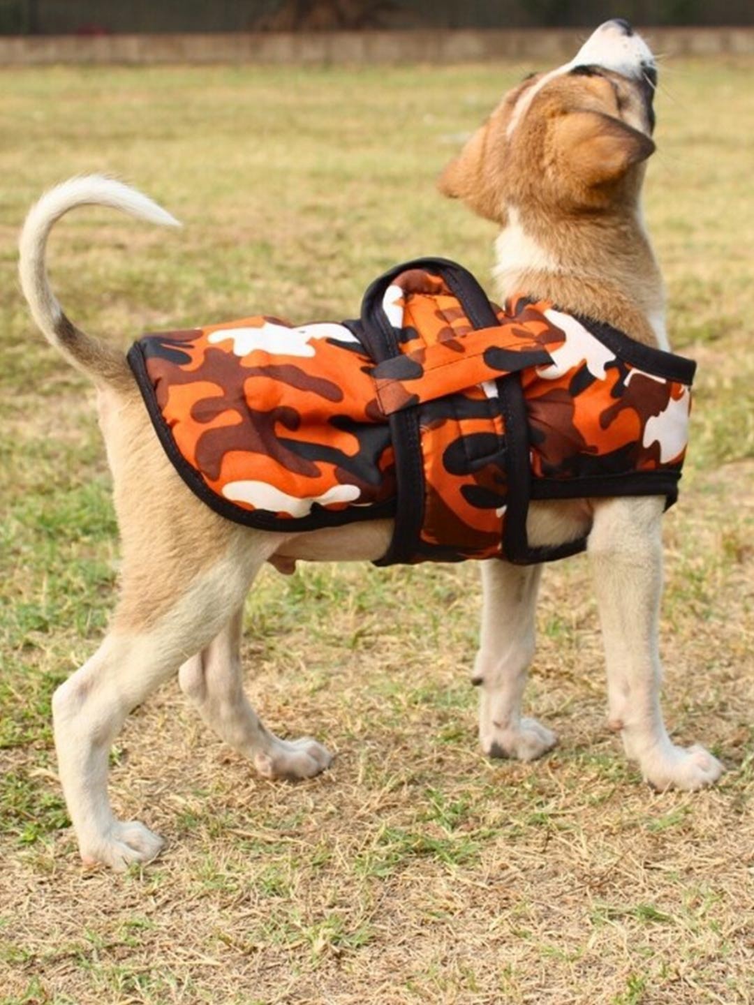 

Lulala Orange Abstract Printed Dog Jacket