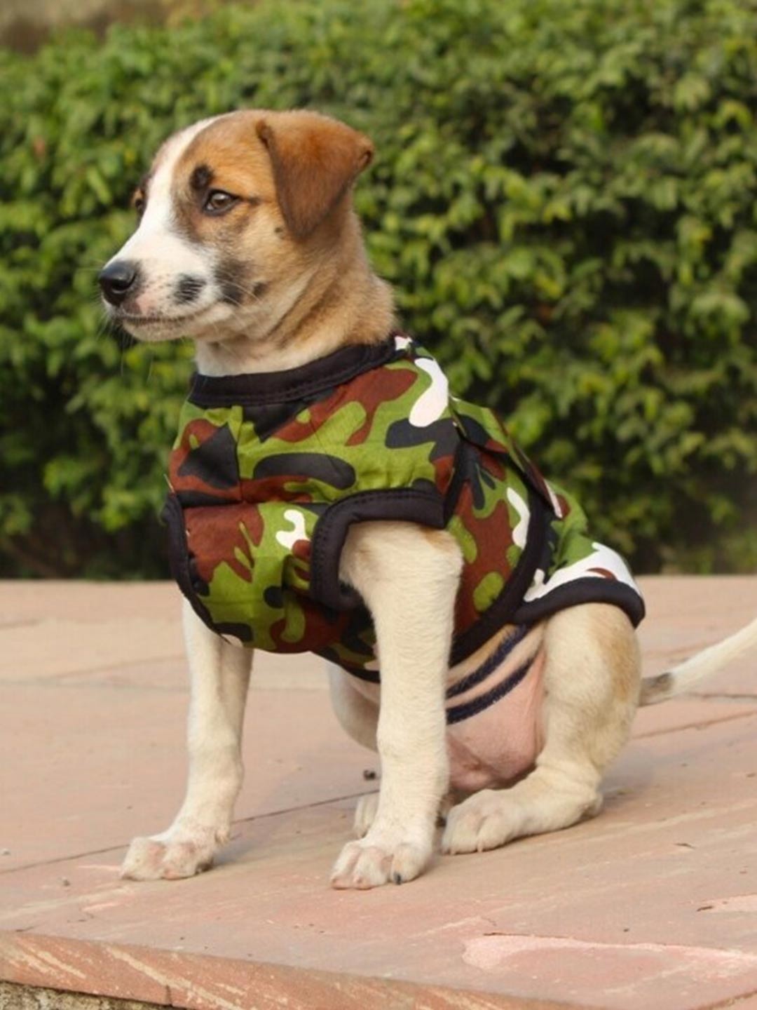 

Lulala Camouflage Printed Fleece Dog Jacket, Green
