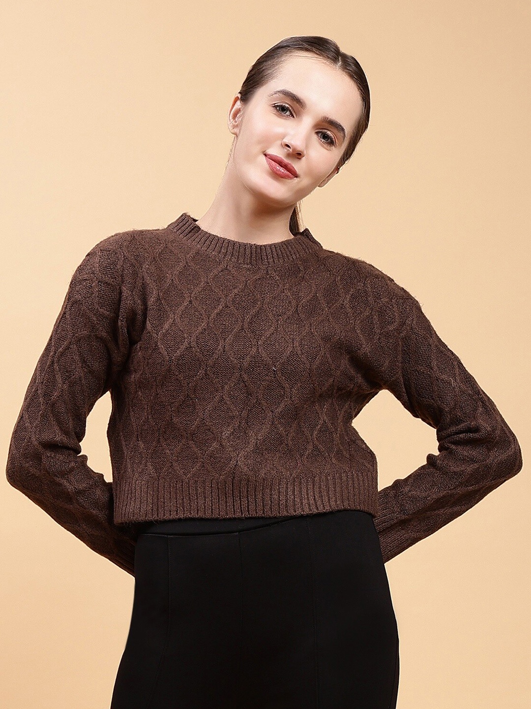 

Malachi Geometric Self Design Crop Acrylic Pullover, Brown