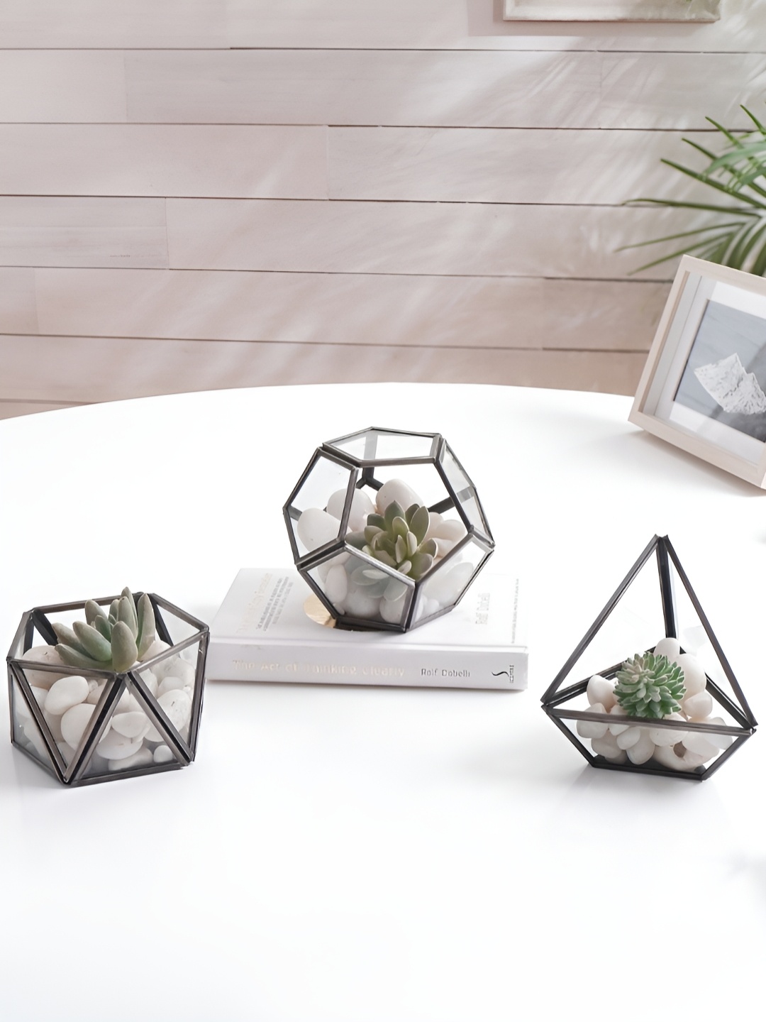 

BEHOMA 3 Pieces Black & Transparent Terrarium Glass With Metal Frame Planters